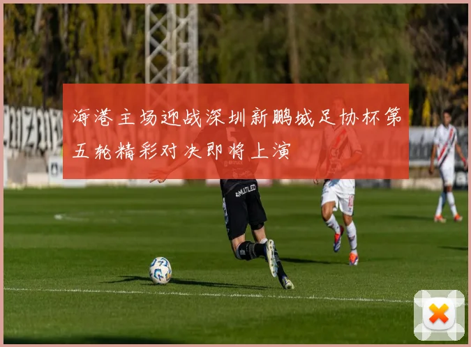 海港主场迎战深圳新鹏城足协杯第五轮精彩对决即将上演